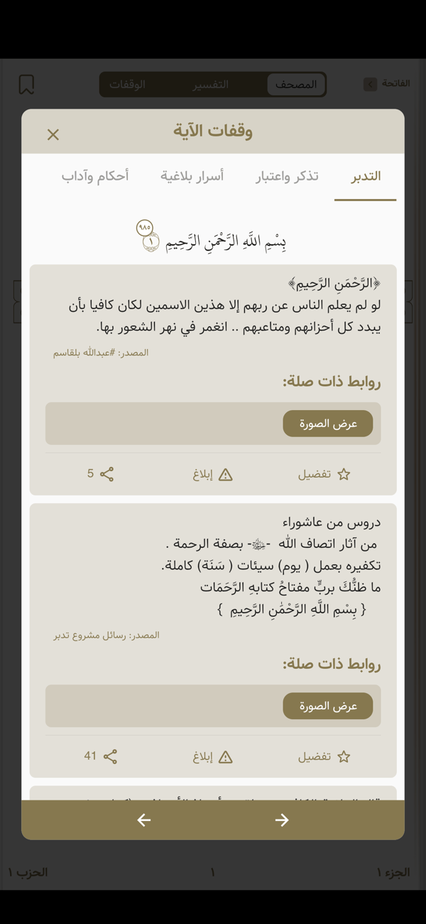 Study Quran screenshot 6